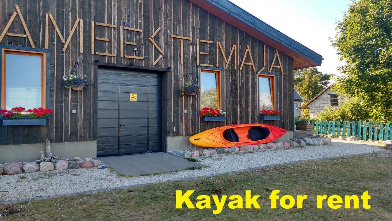 Hostel Kalameeste Maja ムストベー エクステリア 写真